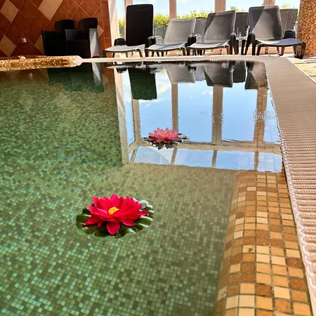 Phoenix Wellness Apartman Panzio 4*