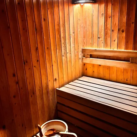 מלון דירות Phoenix Wellness Apartman Panzio 4*