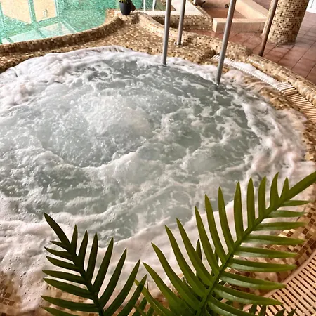 Phoenix Wellness Apartman Panzio מלון דירות 4*