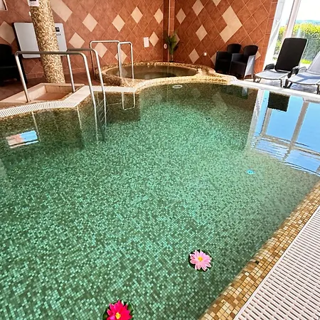 מלון דירות Phoenix Wellness Apartman Panzio