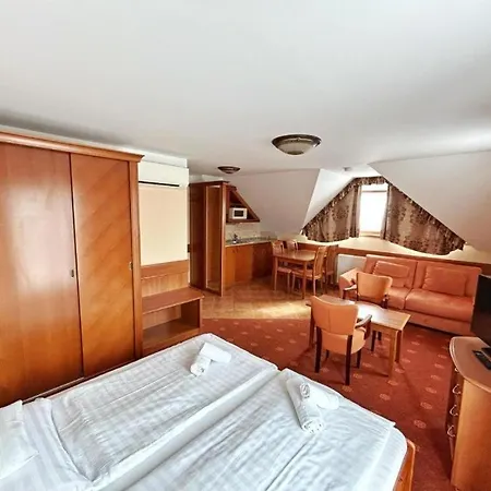 מלון דירות Phoenix Wellness Apartman Panzio 4*