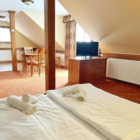 מלון דירות Phoenix Wellness Apartman Panzio