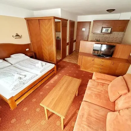 Phoenix Wellness Apartman Panzio מלון דירות