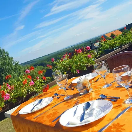 Phoenix Wellness Apartman Panzio 4*