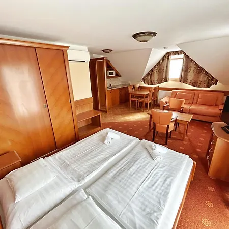 Phoenix Wellness Apartman Panzio